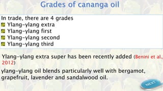 In trade, there are 4 grades
Ylang-ylang extra
Ylang-ylang first
Ylang-ylang second
Ylang-ylang third
Ylang-ylang extra super has been recently added (Benini et al.,
2012)
ylang-ylang oil blends particularly well with bergamot,
grapefruit, lavender and sandalwood oil.
 