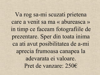Va rog sa-mi scuzati prietena
care a venit sa ma « abureasca »
in timp ce faceam fotografiile de
 prezentare. Sper din toata inima
 ca ati avut posibilitatea de a-mi
   aprecia frumoasa canapea la
       adevarata ei valoare.
      Pret de vanzare: 250€
 
