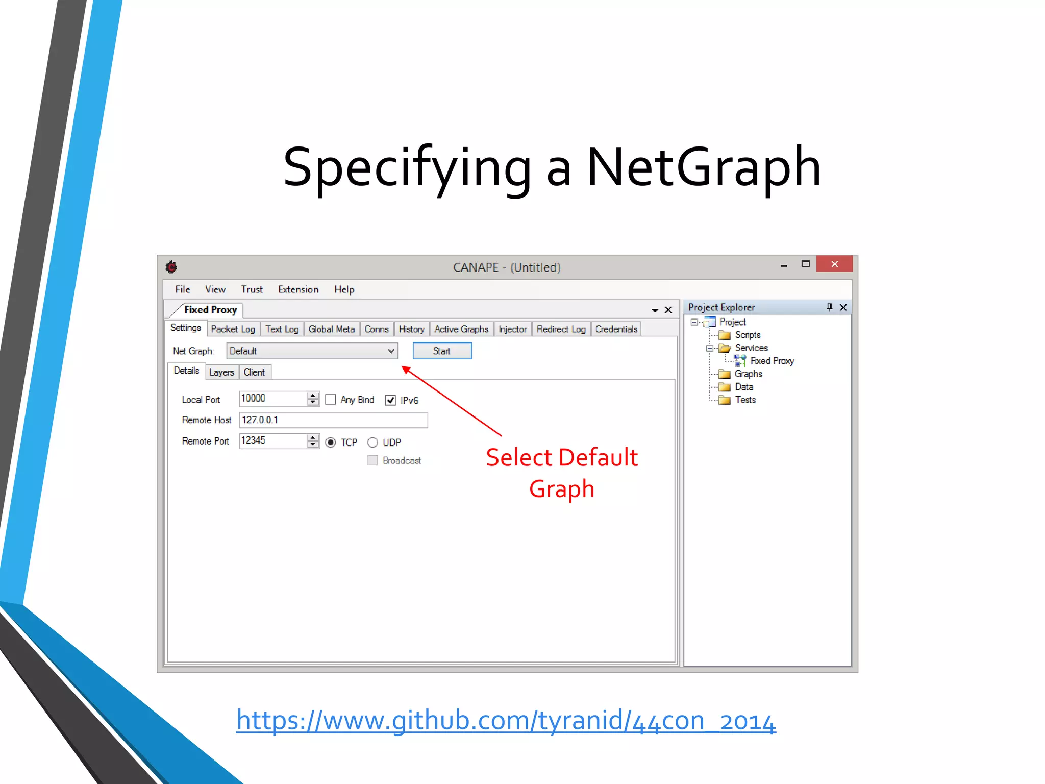 Specifying a NetGraph 
Select Default Graph 
https://www.github.com/tyranid/44con_2014 
 