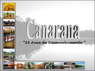 Canarana “ 29 Anos de Desenvolvimento ” 