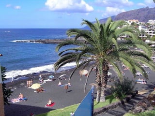 Canarie & paradis
