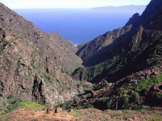 Canarie & paradis