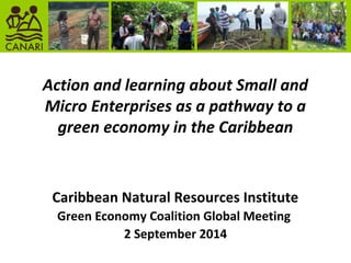 Action and learning about Small and
Micro Enterprises as a pathway to a
green economy in the Caribbean
Caribbean Natural Resources Institute
Green Economy Coalition Global Meeting
2 September 2014
 