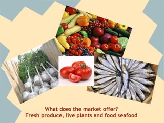What does the market offer?
Fresh produce, live plants and food seafood
 