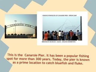 This is the Canarsie Pier. It has been a popular fishing
spot for more than 300 years. Today, the pier is known
    as a prime location to catch bluefish and fluke.
 