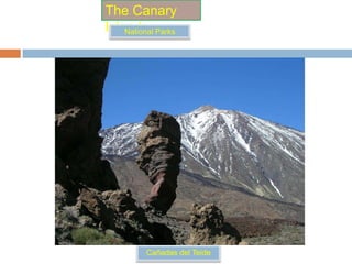 TheCanaryIslandsVolcanoesTimanfayaTeneguía (1971)