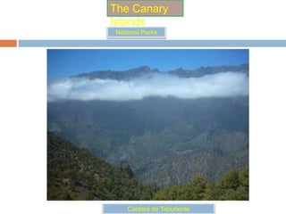 TheCanaryIslandsNationalParksGarajonay