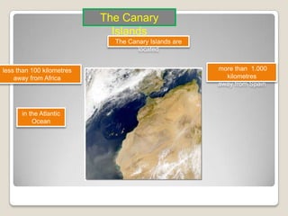 TheCanaryIslandsisletsArchipiélago ChinijoIsla de LobosLa Graciosa