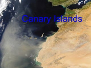 Canary Islands  