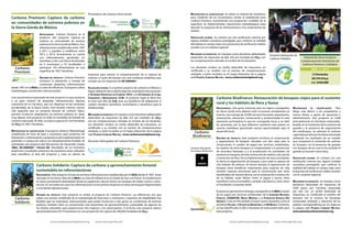 Carbono Premium: Captura de carbono
en comunidades de extrema pobreza en
la Sierra Gorda de México

Proveedores de Carbono Sierra Gorda:

Antecedentes. Carbono Premium es el
producto del proyecto Captura de
carbono en comunidades de extrema
pobreza en la Sierra Gorda de México. Son
reforestaciones establecidas entre 1997
y 2011 y aquellas a establecer entre
2012 y 2013. Actualmente se cuenta
con reforestaciones aprobadas en
Querétaro y San Luís Potosí distribuidas
en 6 municipios y 53 localidades, y
participan 145 reforestadores en una
superficie de 166.7 hectáreas.
Resumen del proyecto. Carbono Premium
involucra la plantación y manejo de
numerosas pequeñas reforestaciones
desde 1997 en la RBSG y su área de influencia. El proyecto utiliza
metodologías y protocolos internacionales.
Una característica importante de este proyecto es que involucra
a un gran número de pequeñas reforestaciones, algunas
solamente de 0.5 hectárea, que son dispersas en las montañas
accidentadas de la Sierra Gorda. Este tamaño mínimo, mucho
más pequeño que un proyecto forestal de carbono típico,
permite involucrar propietarios en extrema pobreza en áreas
muy lejanas. Este proyecto se mide en toneladas de bióxido de
carbono capturado. Al 2042, se espera capturar 81,534 toneladas
de CO2e en 246.7 hectáreas.
Metodología de cuantificación. El proyecto utiliza la “Metodología
simplificada de línea de base y monitoreo para proyectos de
forestación y reforestación a pequeña escala implementados en
pastizales o campos de cultivo con desplazamiento limitado de
actividades pre-proyecto del Mecanismo de Desarrollo Limpio
(MDL) AR-AMS0001 / Versión 06”. Resultados de un inventario
preliminar y resultados anteriores de monitoreo serán utilizados
para estratificar el área del proyecto y crear un diseño de

Metodología de cuantificación. Se utiliza un sistema de monitoreo
para medición de los incrementos similar al establecido para
Carbono Premium, muestreando una proporción confiable de la
superficie. Se implementarán mecanismos metodológicos para
describir la respuesta de las reforestaciones a los tratamientos de
aclareo.
Verificación externa. Se contará con una verificación externa por
alguna entidad consultora prestigiada, que confirme la realidad
del trabajo en campo, bajo unos protocolos de verificación viables
acordes con el contexto regional.
Mecanismo de donativos. Se manejan como donativos adelantados
deducibles de impuestos de U.S. $20 por tonelada de CO2e con
las compensaciones retiradas al nombre de los donantes.

muestreo para estimar el comportamiento de la captura de
carbono a través del tiempo con una confianza estadística que
cumple con los requisitos de AR-AMS0001.

Los donantes reciben un recibo deducible de impuestos, un
certificado a su nombre con el número de compensaciones
señalado, y están incluidos en el mapa interactivo de la página
web Planeta Carbono Neutral: www.carbonneutralplanet.org.

Validación externa. Es el primer proyecto de carbono en México a
lograr validación de su diseño bajo dos estándares internaciones:
el Estándar Verificado de Carbono (VCS) y los Estándares de Clima,
Comunidad y Biodiversidad (CCB). El proyecto logró el Nivel Oro,
el nivel más alto de CCB, para sus beneficios de adaptación al
cambio climático, beneficios comunitarios y beneficios para la
biodiversidad.

Donante distinguido
de Carbono Biodiverso:

Resumen del proyecto. Este proyecto es similar al proyecto de Carbono Premium. Las diferencias son que
utiliza una versión modificada de la metodología de línea base y monitoreo y requisitos de elegibilidad más
flexibles que los estándares internacionales para poder involucrar a más gente en condiciones de extrema
pobreza. También tiene un componente más importante de aprovechamiento sustentable de algunos de
los árboles plantados para proporcionar más ingresos a los participantes. A la fecha, este proyecto abarca
aproximadamente 457.9 hectáreas con una proyección de captura de 290,000 toneladas de CO2e.

www.carbonneutralplanet.org

www.sierragorda.net

2006 a 2012
13 Donantes
28,744 tCO2e
U.S. $430,689

Antecedentes. Una grave amenaza para los logros conseguidos
en Sierra Gorda sería detener todo el proceso actualmente en
marcha, una sinergia de 35,000 serranos haciendo saneamiento,
restauración, educación, conservación y productividad. Es esta
operación participativa la que ha conseguido hacer a un lado
las amenazas, por lo que debemos mantener esta puesta en
marcha ciudadana, generando nuevas oportunidades para el
desarrollo local.

Donantes distinguidos de Carbono Premium:

Antecedentes. Este proyecto incluye las primeras reforestaciones establecidas por el GESG desde el 1987. Están
ubicadas en las tierras altas de la RBSG y su área de influencia en el estado de San Luis Potosí. Se establecieron
en áreas previamente disturbadas donde la vegetación natural clímax son bosques de niebla, encino o pinoencino. En casi todos los casos las reforestaciones se encuentran dispersas en áreas de bosques fragmentados
y actividades agropecuarias.

Historial de Sierra Gorda en
Compensaciones Voluntarias de
Carbono Premium y Solidario

Carbono Biodiverso: Restauración de bosques viejos para el sustento
rural y los hábitats de flora y fauna

Mecanismo de donativos. Se manejan como donativos adelantados
deducibles de impuestos de U.S. $25 por tonelada de CO2e
con las compensaciones retiradas al nombre de los donantes.
Los donantes reciben un recibo deducible de impuestos, un
certificado a su nombre con el número de compensaciones
señalado, y están incluidos en el mapa interactivo de la página
web Planeta Carbono Neutral: www.carbonneutralplanet.org.

Carbono Solidario: Captura de carbono y aprovechamiento forestal
sustentable en reforestaciones

Donante distinguido de
Carbono Solidario:

Resumen del proyecto. Este proyecto involucra la conservación
y regeneración de bosques naturales con alto valor para la
conservación. A cambio de pagos por servicios ambientales,
los dueños de estos bosques se comprometen a la prevención
de incendios forestales y a la erradicación de actividades de
pastoreo en bosques, de tala y extracción de madera, y de cacería
y extracción de flora. De la implementación de estas actividades
se deriva la regeneración de bosques y por ende la captura de
más bióxido de carbono. Al mismo tiempo, la regeneración de
bosques tiene beneficios importantes para especies de vida
silvestre. Especies prioritarias para la conservación que serán
beneficiadas de manera directa con la restauración y protección
de su hábitat, serán felinos como el jaguar y puma, otros
mamíferos como el armadillo y venado cola blanca y aves como
el hocofaisán y tucaneta verde.
El proyecto aprovecha la sinergia conseguida en la RBSG a través
de los pagos por servicios ambientales de la Comisión Nacional
Forestal (CONAFOR), Banco Mundial y la Fundación Gonzalo Río
Arronte, y hoy en día también incluye nuevos donantes como la
aerolínea Volaris, el Estado de Querétaro y el IXE Banco. A la fecha,
se han identificado 23,585.5 hectáreas de áreas potenciales para
este proyecto.

www.carbonneutralplanet.org

Metodología de cuantificación. Para
dirigir más dinero a los propietarios y
menos dinero a gastos de operación y
administración, este proyecto se mide
principalmente en hectáreas restauradas,
basado en el monitoreo de la ausencia de
ganado y la presencia de regeneración
del sotobosque. Se estimará el carbono
capturado por año por hectárea restaurada
utilizando los resultados de un estudio
que comparará el contenido de carbono
en bosques con la presencia de ganado
con bosques de los cual se ha excluido el
ganado ya durante varios años.
Verificación externa. Se contará con una
verificación externa por alguna entidad
consultora prestigiada, que confirme la
realidad del trabajo en campo, bajo unos
protocolos de verificación viables acordes
con el contexto regional.
Mecanismo de donativos. Se manejan como
donativos deducibles de impuestos de
$500 pesos por hectárea restaurada
por año con un recibo deducible de
impuestos, un certificado al nombre del
donante con el número de hectáreas
restauradas señalado y ubicación de los
predios correspondientes en un mapa en
la página web Planeta Carbono Neutral:
www.planetacarbononeutral.org.

www.sierragorda.net

 