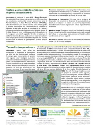Captura y almacenaje de carbono en
regeneraciones naturales
Antecedentes. A través de 24 años GESG y Bosque Sustentable
han apoyado el manejo de regeneraciones en diferentes tipos
de vegetación, gestionando recursos económicos ante la
Comisión Nacional de Áreas Naturales Protegidas (CONANP) y
otras dependencias para realizar acciones como limpias, podas
y aclareos para mejorar sus condiciones físicas y biológicas.
Derivado de ello nace la visión de un proyecto de Captura y
Almacenaje de Carbono en Regeneraciones Naturales dentro de
la RBSG. Esto sirve como medida para evitar la degradación de
los bosques y aumentar la capacidad de estos en la captura de
carbono, retención de agua, producción de oxígeno, regulación
de la temperatura, conservación de hábitat para la vida silvestre,
conservación de bancos de germoplasma y otros servicios
ambientales.

Tierras silvestres para siempre
Antecedentes. Desde 1996, GESG ha
conseguido la protección a perpetuidad
de sitios de alta biodiversidad mediante
la compra para conservación de predios
con especial valor biológico, auténticos
santuarios con biodiversidad de importancia
global. Esta línea de acción se ha enfocado a la
adquisición de bosques de niebla, templados
y selvas bajas que sus propietarios anteriores
pusieron a la venta por así convenir a sus
intereses, en riesgo de ser adquiridos para
Simbología
Ríos
Carretera Estatal
Carretera Federal
-Límite de la RBSG
-Zonas Núcleo
-Tierras Compradas

Resumen del proyecto. Este nuevo proyecto involucrará las áreas
de regeneración forestal con que ya contamos, protegiéndolas
a través de la exclusión de ganado y la prevención de incendios
forestales de un latente riesgo de cambio de uso del suelo.
Metodología de cuantificación. Para este nuevo producto a
desarrollar, está pendiente el desarrollo de su metodología a
detalle. Se llevará a cabo un estudio para cuantificar el contenido
de carbono en áreas de regeneración natural bajo diferentes
escenarios.
Validación externa. El proyecto contará con la validación externa
de una entidad nacional de prestigio, quien confirme la realidad
del trabajo en campo, bajo protocolos de verificación viables
acordes con el contexto regional.
Mecanismo de donativos. Se utilizará un mecanismo de donativos
similar a los de los otros productos.

actividades agropecuarias o extracción de madera. Para ello se formó, por iniciativa
de integrantes de GESG, la organización de la sociedad civil Joya del Hielo A.C.,
realizándose la primera compra (200 has. de un magnífico bosque de niebla) con
recursos de los socios fundadores y estando claramente establecido en sus estatutos
el que los predios adquiridos tendrán a perpetuidad un manejo de conservación,
eliminando cualquier tipo de actividades productivas. De esta manera, a la fecha
se han protegido 3,800 has de ecosistemas con excelentes resultados, eliminando
por completo las actividades productivas que inútilmente los estaban degradando
y regresando de nuevo a su estado silvestre. Para ello hemos contado con una
variedad de socios y donantes como el World Land Trust UK, Comité Holandés de
la UICN, World Parks Endowment, People´s Trust for Endangered Species y otros
donantes, que han hecho posible consolidar una Red de Reservas Naturales Privadas
a lo largo del gran corredor biológico de la Sierra Madre Oriental al este de la
RBSG. Con ello hemos protegido especies
en peligro de extinción como jaguares,
pumas, ocelotes, tigrillos, venados temazate,
tepezcuintles, viejos de monte, tucanetas,
ajoles, chivizcoyos, pericos verdes y loros de
cabeza roja, salamandras y ranas arborícolas
y serpientes endémicas al noreste de México
entre muchas otras especies.

-Tierras con Manejo de Conservación
-Pago por Servicios Ambientales
Development Marketplace
-Pago por Servicios Ambientales
Hidrológicos CONAFOR
-Pago por Servicios Ambientales
por Biodiversidad CONAFOR
-Pago por Servicios Ambientales Hidrológicos
Fundación Gonzalo Río Arronte

Ventajas. Mediante esta estrategia se asegura
a perpetuidad la protección de sitios únicos
por su biodiversidad, donde a diferencia del
pago por servicios ambientales, no queda
un compromiso con propietarios por la
realización de pagos a mediano y largo plazo,
por lo que con un solo desembolso y costos
de mantenimiento relativamente bajos se
puede consolidar una nueva reserva natural.

-Tierras en Venta

Fotografía: Roberto Pedraza Ruiz

Contacto para consultas y donaciones:
Grupo Ecológico Sierra Gorda, I.A.P.
sierragordareserve@yahoo.com

Jalpan de Serra, Qro. México
Tel. Fax (441) 296 0229 y 296 0242
www. sierragorda.net
www.planetacarbononeutral.org

Dirección Postal: Carlos Septien García
No.46. Col. Cimatario. Querétaro, Qro.
México. C.P. 76030
Tel. (442) 212 3267 Fax (442) 212 4777

 