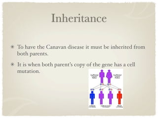 Inheritance

To have the Canavan disease it must be inherited from
both parents.
It is when both parent’s copy of the gene has a cell
mutation.
 