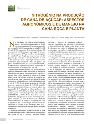 Revista Canavieiros Fevereiro de 2018106
Nitrogênio na produção
de cana-de-açúcar: aspectos
agronômicos e de manejo na
cana-soca e planta
Artigo Técnico 2
*Sandro Roberto Brancalião, *Márcio Aurélio Pitta Bidóia, *Marcos Guimarães de Andrade Landell, **Fernando Rodrigues Moreira, ***Everton Luis Finoto
N
os dias atuais, por volta de nove milhões de
hectares são atualmente cultivados no Brasil
com a cultura de cana-de-açúcar, produzindo
em torno de 660 milhões de toneladas na safra 2013-2014
(Conab, 2014). A expansão dessa cultura no Brasil foi
impulsionada inicialmente para a produção de açúcar.
No início dos anos 1970, o etanol de cana-de-açúcar
foi introduzido em função da crise internacional do
petróleo, que encorajou o Governo brasileiro a criar
o Pró-Álcool, que visava à produção de etanol como
combustível para automóveis. Após um período de
pouco incentivo ao etanol nas décadas de 1980 e 1990,
a expansão mais expressiva da cultura ocorreu após o
desenvolvimento da tecnologia flex em 2003.
Os principais aspectos positivos são: baixos custos de
produção, alta produtividade, baixos uso de nitrogênio
(N), ótimas relações de balanço de energia renovável/
energia fóssil e bom potencial de mitigação de gases
efeito estufa. Os aspectos positivos da produção de
cana-de-açúcar para a produção de bioenergia estão
intimamente relacionados com produtividade da cultura
e uso do N. No Brasil, a cana-de-açúcar é cultivada
com doses relativamente baixas de N (90-120 kg ha-1).
Em outros países produtores de cana-de-açúcar, as
quantidades de N aplicadas na cultura podem ser até
100% superiores (150-250 kg ha-1) às doses empregadas
no Brasil, com a obtenção de produtividades similares
(CANTARELLA, 2007). Diante deste fato, o uso de
fertilizantes nitrogenados é crucial no balanço ener-
gético-ambiental da cana-de-açúcar para produção
de biocombustíveis. A adubação nitrogenada em cana
é responsável por 23% da energia fóssil utilizada nas
operações da cultura, e 19% da energia total gasta,
considerando também todas as etapas para a produção
de bioetanol.
A adubação nitrogenada na cana-de-açúcar é uma
prática fundamental para o aumento da produtividade
da cultura, já que o nutriente apresenta função
estrutural e participa de compostos orgânicos e
processos fisiológicos que garantem o crescimento
e desenvolvimento da planta. Além disso, o uso
de nitrogênio por meio da adubação de cobertura
contribui para uma melhor brotação e perfilhamento na
cana-planta e está diretamente relacionado ao aumento
na produção de colmos tanto em cana-planta quanto em
cana-soca (Figura 1).
O nitrogênio é extraído em altas quantidades pela
cultura da cana-de-açúcar, principalmente na cana-soca,
o que pode ser evidenciado através de trabalhos que
comprovam um maior aumento na produtividade da
soqueira, quando comparada à cana-planta (Figura
2), em resposta à adubação nitrogenada. Atualmente,
o uso de nitrogênio em cobertura na soqueira tem
ganhado lugar de destaque, garantindo maior vigor e
produtividade da lavoura. Isto porque após a colheita do
canavial uma grande quantidade de palha é deixada sobre
o solo, devido à erradicação da prática das queimadas.
Por apresentar uma alta relação C/N, a palhada da
cana dificulta a disponibilização de nitrogênio para o
solo e, consequentemente, reduz o aproveitamento do
mesmo pelas plantas, sendo a palhada também ávida por
nitrogênio. Assim, é fundamental suprir a necessidade de
nitrogênio da cultura por meio do uso de adubos. Apesar
disso, o manejo do nitrogênio (N) nas adubações dos
canaviais não é tarefa fácil, devido à grande interação
do nutriente com o ambiente, o que pode reduzir a
eficiência das adubações, visto que as perdas de N podem
ocorrer através de atividades microbianas, lixiviação,
volatilização e nitrificação. Portanto, o desenvolvimento
de fertilizantes nitrogenados de eficiência aumentada
torna-se fator imperativo para o alcance de maiores
produtividades. Existem diferentes fertilizantes
nitrogenados para a adubação dos canaviais. No caso da
ureia (fertilizante comumente usado pelos agricultores),
quando aplicada em cobertura, as perdas por volatilização
chegam a 30-60%. Além da ureia, destacam-se também
 