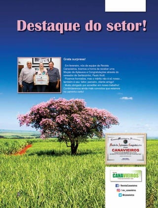 Canavieiros - fevereiro 2018