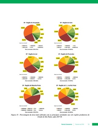Revista Canavieiros Fevereiro de 2018 53
Figura 35 - Porcentagem da área total cultivada com as principais variedades nas seis regiões produtoras do
Estado de São Paulo, safra 2017/18
 