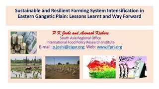 Sustainable and Resilient Farming System Intensification in
Eastern Gangetic Plain: Lessons Learnt and Way Forward
P K Joshi and Avinash Kishore
South Asia Regional Office
International Food Policy Research Institute
E-mail: p.joshi@cigar.org; Web: www.ifpri-org
 