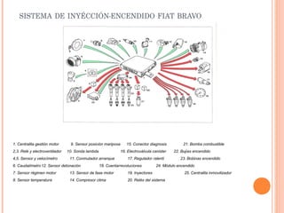 SISTEMA DE INYÉCCIÓN-ENCENDIDO FIAT BRAVO




1. Centralita gestión motor      9. Sensor posición mariposa      15. Conector diagnosis          21. Bomba combustible
2,3. Relé y electroventilador   10. Sonda lambda               16. Electroválvula canister   22. Bujías encendido
4,5. Sensor y velocímetro        11. Conmutador arranque           17. Regulador ralentí        23. Bobinas encendido
6. Caudalímetro 12. Sensor detonación              18. Cuentarrevoluciones          24. Módulo encendido
7. Sensor régimen motor          13. Sensor de fase motor          19. Inyectores                 25. Centralita inmovilizador
8. Sensor temperatura            14. Compresor clima               20. Relés del sistema
 