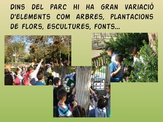 Dins del parc hi ha gran variació
d'elements com arbres, plantacions
de flors, escultures, fonts...
 