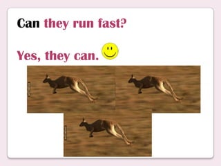 Can they run fast?
Yes, they can.