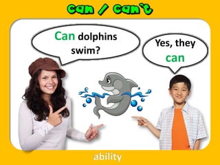 Can dolphins
swim?
Yes, they
can
ability
 