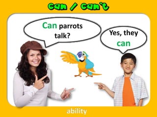 Can parrots
talk? Yes, they
can
ability
 