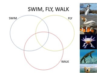 Can cant plus worksheet | PPTX