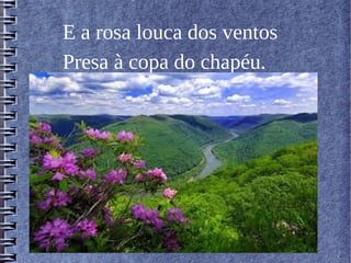 E a rosa louca dos ventos
Presa à copa do chapéu.
 