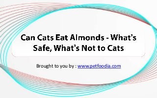 Brought to you by : www.petfoodia.com
 