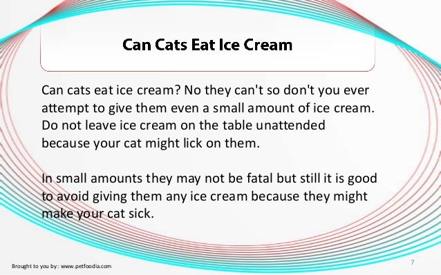 Can Dogs Lick Ice Cream Can Dogs Lick Ice Cream