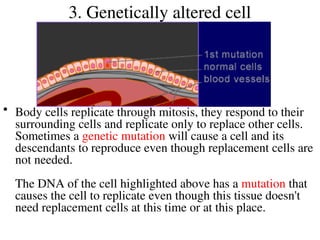 Comprehensive Overview of Cancer Biology and Cell Cycle Regulation | PPT