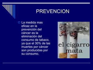 PREVENCION La medida mas eficaz en la prevención del cáncer es la eliminación del consumo de tabaco, ya que el 30% de las muertes por cáncer son producidas por su consumo. 