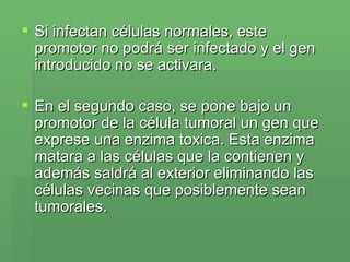 Si infectan células normales, este promotor no podrá ser infectado y el gen introducido no se activara.  En el segundo caso, se pone bajo un promotor de la célula tumoral un gen que exprese una enzima toxica. Esta enzima matara a las células que la contienen y además saldrá al exterior eliminando las células vecinas que posiblemente sean tumorales.  