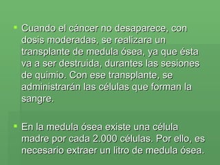 Cuando el cáncer no desaparece, con dosis moderadas, se realizara un transplante de medula ósea, ya que ésta va a ser destruida, durantes las sesiones de quimio. Con ese transplante, se administrarán las células que forman la sangre.  En la medula ósea existe una célula madre por cada 2.000 células. Por ello, es necesario extraer un litro de medula ósea.  