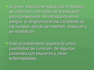 Una vez extraído el liquido de la medula, se coloca en una bolsa de transfusión para conservarla. Al introducirla en la sangre, si dirigirá hacia las cavidades de los huesos, donde se insertan, maduran y se multiplican.  Este procedimiento supone la única posibilidad de curación, de algunos pacientes con leucemia y otras enfermedades.  