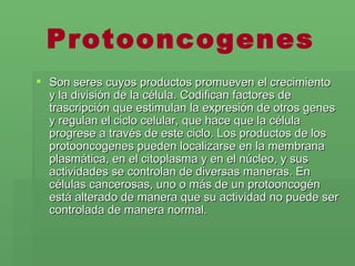 Protooncogenes Son seres cuyos productos promueven el crecimiento y la división de la célula. Codifican factores de trascripción que estimulan la expresión de otros genes y regulan el ciclo celular, que hace que la célula progrese a través de este ciclo. Los productos de los protooncogenes pueden localizarse en la membrana plasmática, en el citoplasma y en el núcleo, y sus actividades se controlan de diversas maneras. En células cancerosas, uno o más de un protooncogén está alterado de manera que su actividad no puede ser controlada de manera normal. 