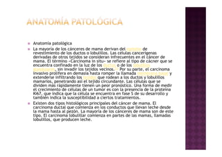 Anatomía patológica
La mayoría de los cánceres de mama derivan del epitelio de
revestimiento de los ductos o lobulillos. Las células cancerígenas
derivadas de otros tejidos se consideran infrecuentes en el cáncer de
mama. El término «Carcinoma in situ» se refiere al tipo de cácner que se
encuentra confinado en la luz de los ductos o de los lobulillos
glandulares, sin invadir los tejidos vecinos.[2] Por su parte, el carcinoma
invasivo prolifera en demasía hasta romper la llamada membrana basal y
extenderse infiltrando los tejidos que rodean a los ductos y lobulillos
mamarios, penetrando así el tejido circundante. Las células que se
dividen más rápidamente tienen un peor pronóstico. Una forma de medir
el crecimiento de células de un tumor es con la presencia de la proteína
Ki67, que indica que la célula se encuentra en fase S de su desarrollo y
también indica la susceptibilidad a ciertos tratamientos.
Existen dos tipos histológicos principales del cáncer de mama. El
carcinoma ductal que comienza en los conductos que llevan leche desde
la mama hasta al pezón. La mayoría de los cánceres de mama son de este
tipo. El carcinoma lobulillar comienza en partes de las mamas, llamadas
lobulillos, que producen leche.
 