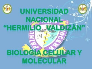 UNIVERSIDAD   NACIONAL                    “HERMILIO   VALDIZÀN” Biología celular y molecular  