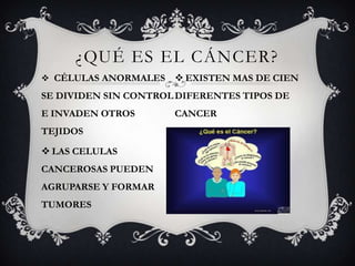 ¿qué es el cáncer? CÉLULAS ANORMALES  SE DIVIDEN SIN CONTROL E INVADEN OTROS TEJIDOS LAS CELULAS CANCEROSAS PUEDEN AGRUPARSE Y FORMAR TUMORES     EXISTEN MAS DE CIEN DIFERENTES TIPOS DE CANCER 