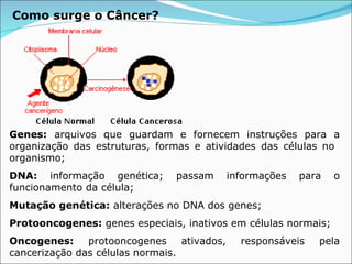 Como surge o Câncer?   Genes:  arquivos que guardam e fornecem instruções para a organização das estruturas, formas e atividades das células no  organismo; DNA:  informação genética; passam informações para o funcionamento da célula; Mutação genética:  alterações no DNA dos genes; Protooncogenes:  genes especiais, inativos em células normais; Oncogenes:  protooncogenes ativados, responsáveis pela cancerização das células normais. 