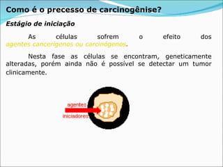 Como é o precesso de carcinogênise?   As células sofrem o efeito dos  agentes cancerígenos ou carcinógenos . Nesta fase as células se encontram, geneticamente alteradas, porém ainda não é possível se detectar um tumor clinicamente.   Estágio de iniciação 