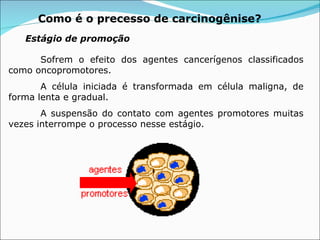 Como é o precesso de carcinogênise?   Sofrem o efeito dos agentes cancerígenos classificados como oncopromotores. A célula iniciada é transformada em célula maligna, de forma lenta e gradual. A suspensão do contato com agentes promotores muitas vezes interrompe o processo nesse estágio.  Estágio de promoção 