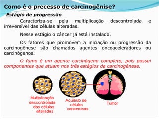 Como é o precesso de carcinogênise?   Caracteriza-se pela multiplicação descontrolada e irreversível das células alteradas.  Nesse estágio o câncer já está instalado. Os fatores que promovem a iniciação ou progressão da carcinogênese são chamados agentes oncoaceleradores ou carcinógenos.  O fumo é um agente carcinógeno completo, pois possui componentes que atuam nos três estágios da carcinogênese. Estágio de progressão 
