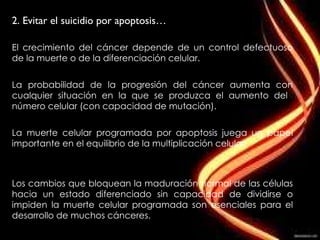 2. Evitar el suicidio por apoptosis… El crecimiento del cáncer depende de un control defectuoso de la muerte o de la diferenciación celular. La probabilidad de la progresión del cáncer aumenta con cualquier situación en la que se produzca el aumento del  número celular (con capacidad de mutación). La muerte celular programada por apoptosis juega un papel importante en el equilibrio de la multiplicación celular. Los cambios que bloquean la maduración normal de las células hacia un estado diferenciado sin capacidad de dividirse o impiden la muerte celular programada son esenciales para el desarrollo de muchos cánceres. 