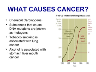 WHAT CAUSES CANCER? Chemical Carcinogens Substances that cause DNA mutaions are known as mutagens Tobacco smoking is associated with lung cancer Alcohol is associated with stomach liver mouth cancer 