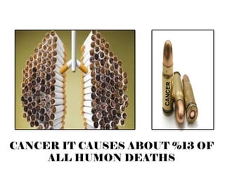 CANCER IT CAUSES ABOUT %13 OF ALL HUMON DEATHS CANCER 