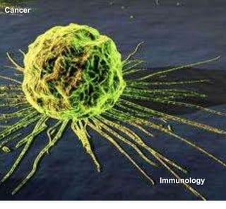 Cancer




         Immunology
 