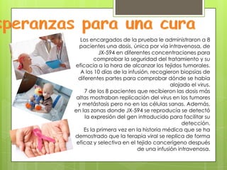 Los encargados de la prueba le administraron a 8
  pacientes una dosis, única por vía intravenosa, de
           JX-594 en diferentes concentraciones para
         comprobar la seguridad del tratamiento y su
eficacia a la hora de alcanzar los tejidos tumorales.
   A los 10 días de la infusión, recogieron biopsias de
  diferentes partes para comprobar dónde se había
                                        alojado el virus.
     7 de los 8 pacientes que recibieron las dosis más
 altas mostraban replicación del virus en los tumores
 y metástasis pero no en las células sanas. Además,
en las zonas donde JX-594 se reproducía se detectó
     la expresión del gen introducido para facilitar su
                                             detección.
    Es la primera vez en la historia médica que se ha
demostrado que la terapia viral se replica de forma
 eficaz y selectiva en el tejido cancerígeno después
                           de una infusión intravenosa.
 