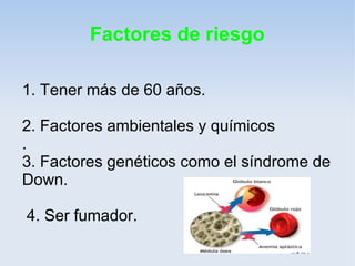 Factores de riesgo

1. Tener más de 60 años.

2. Factores ambientales y químicos
.
3. Factores genéticos como el síndrome de
Down.

4. Ser fumador.
 