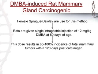 DMBA-induced Rat Mammary
Gland Carcinogenic
Female Sprague-Dawley are use for this method.
Rats are given single intragastric injection of 12 mg/kg
DMBA at 50 days of age.
This dose results in 80-100% incidence of total mammary
tumors within 120 days post carcinogen.
 