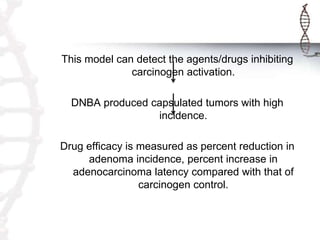 This model can detect the agents/drugs inhibiting
carcinogen activation.
DNBA produced capsulated tumors with high
incidence.
Drug efficacy is measured as percent reduction in
adenoma incidence, percent increase in
adenocarcinoma latency compared with that of
carcinogen control.
 